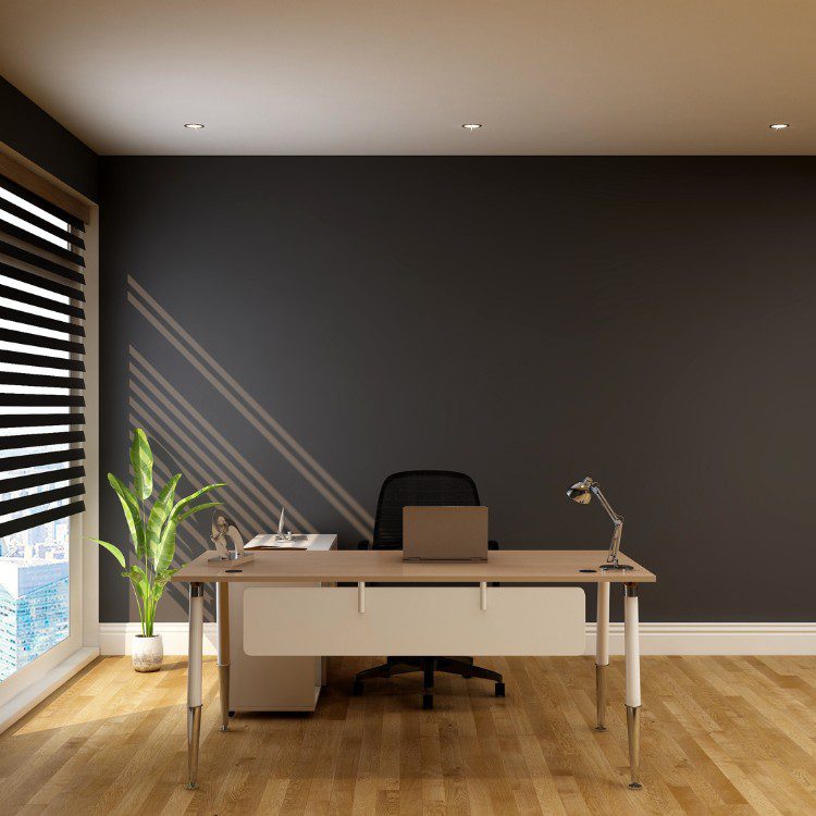 Painting Services in Redding, CA